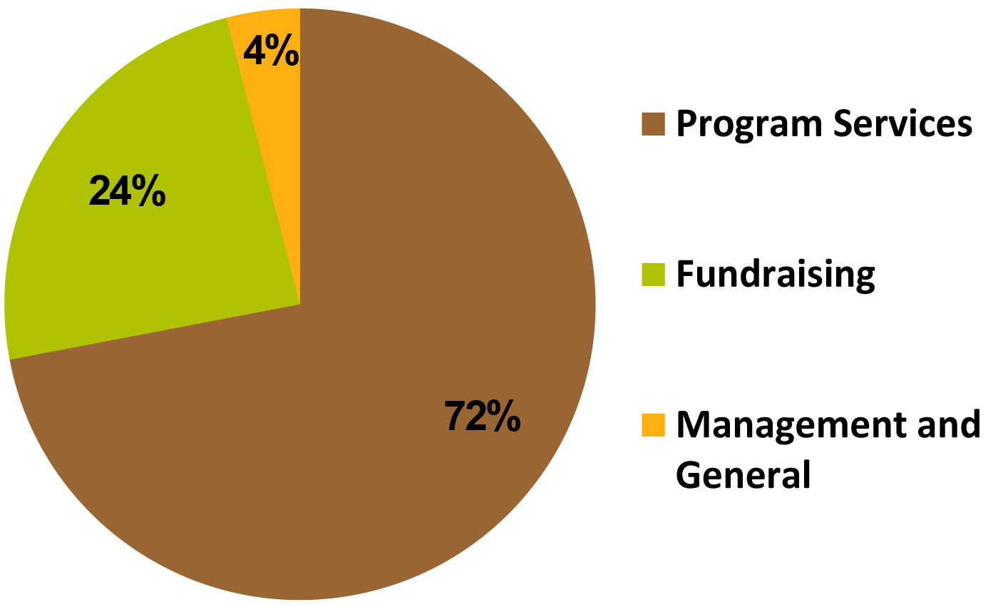 Chart 2011 Expenses Chart 2011 Expenses